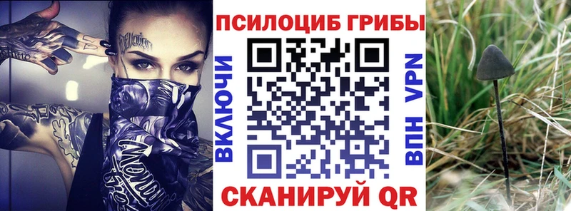 Галлюциногенные грибы мухоморы Нижние Серги